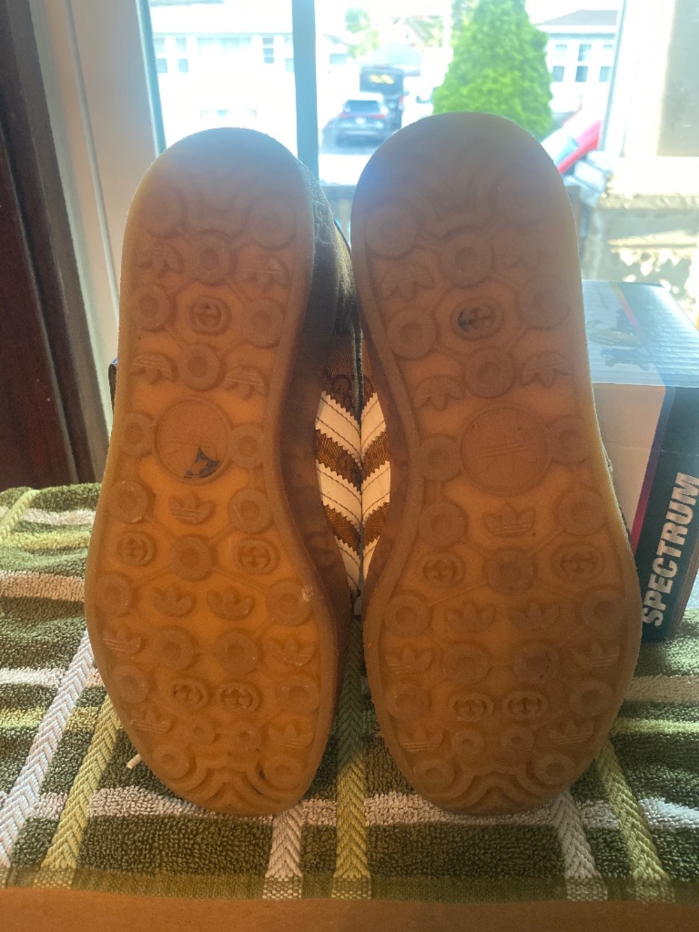 Gucci x Adidas gazelle